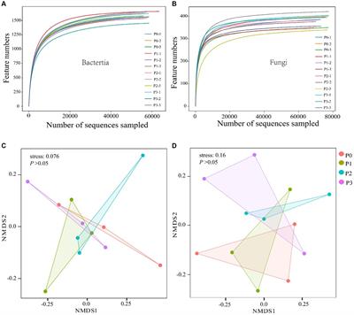 Phosphorus addition increases stability and complexity of co-occurrence network of soil microbes in an artificial <mark class="highlighted">Leymus chinensis</mark> grassland